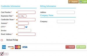 hosted paypage online payments