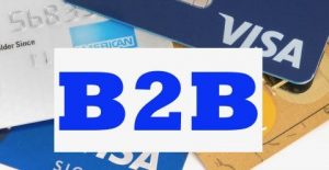 b2b visa stored credential